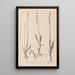 Herbier de la flore française Pl0993 - Louis Antoine Cusin — framed artwork on a wall