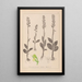 Herbier de la flore française Pl1004 - Louis Antoine Cusin — framed artwork on a wall