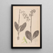 Herbier de la flore française Pl1006 - Louis Antoine Cusin — framed artwork on a wall