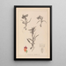 Herbier de la flore française Pl1011 - Louis Antoine Cusin — framed artwork on a wall