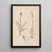 Herbier de la flore française Pl1012 - Louis Antoine Cusin — framed artwork on a wall