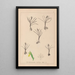 Herbier de la flore française Pl1014 - Louis Antoine Cusin — framed artwork on a wall