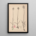Herbier de la flore française Pl1018 - Louis Antoine Cusin — framed artwork on a wall