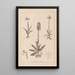 Herbier de la flore française Pl1022 - Louis Antoine Cusin — framed artwork on a wall