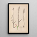 Herbier de la flore française Pl1024 - Louis Antoine Cusin — framed artwork on a wall