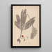 Herbier de la flore française Pl1032 - Louis Antoine Cusin — framed artwork on a wall