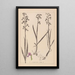 Herbier de la flore française Pl1034 - Louis Antoine Cusin — framed artwork on a wall