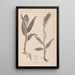 Herbier de la flore française Pl1044 - Louis Antoine Cusin — framed artwork on a wall