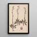 Herbier de la flore française Pl1049 - Louis Antoine Cusin — framed artwork on a wall