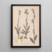 French flora herbarium painting Pl1050 - Louis Antoine Cusin — framed artwork on a wall
