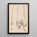 Herbier de la flore française Pl1056 - Louis Antoine Cusin — framed artwork on a wall
