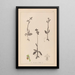 Herbier de la flore française Pl1058 - Louis Antoine Cusin — framed artwork on a wall