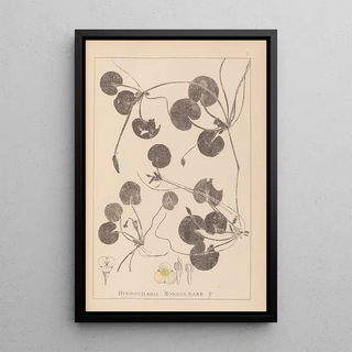 Herbier de la flore française Pl1060 - Louis Antoine Cusin — framed artwork on a wall