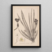 Herbier de la flore française Pl1061 - Louis Antoine Cusin — framed artwork on a wall
