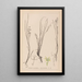 Herbier de la flore française Pl1067 - Louis Antoine Cusin — framed artwork on a wall