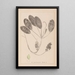Herbier de la flore française Pl1069 - Louis Antoine Cusin — framed artwork on a wall