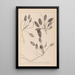 Herbier de la flore française Pl1071 - Louis Antoine Cusin — framed artwork on a wall