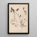 Herbier de la flore française Pl1074 - Louis Antoine Cusin — framed artwork on a wall
