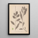 Herbier de la flore française Pl1075 - Louis Antoine Cusin — framed artwork on a wall