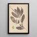 Herbier de la flore française Pl1076 - Louis Antoine Cusin — framed artwork on a wall