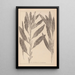 Herbier de la flore française Pl1077 - Louis Antoine Cusin — framed artwork on a wall