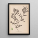 Herbier de la flore française Pl1080 - Louis Antoine Cusin — framed artwork on a wall
