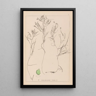 Herbier de la flore française Pl1085 - Louis Antoine Cusin — framed artwork on a wall