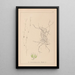 Herbier de la flore française Pl1091 - Louis Antoine Cusin — framed artwork on a wall