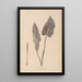 Herbier de la flore française Pl1108 - Louis Antoine Cusin — framed artwork on a wall