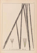 Herbier de la flore française Pl1113 - Louis Antoine Cusin — artwork view