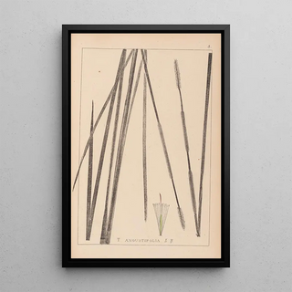 French flora herbarium painting Pl1114 - Louis Antoine Cusin — framed artwork on a wall