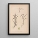 Herbier de la flore française Pl1121 - Louis Antoine Cusin — framed artwork on a wall