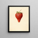 Fragaria Bellmar - Louis Charles Christopher Krieger — framed artwork on a wall