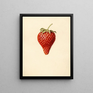 Louis Charles Christopher Krieger - Fragaria Bellmar.webp