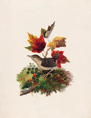 Louis Prang - Bird with Autumn Leaves.webp