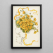 Buttercups - Louis Prang — framed artwork on a wall