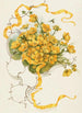 Buttercups - Louis Prang — artwork view