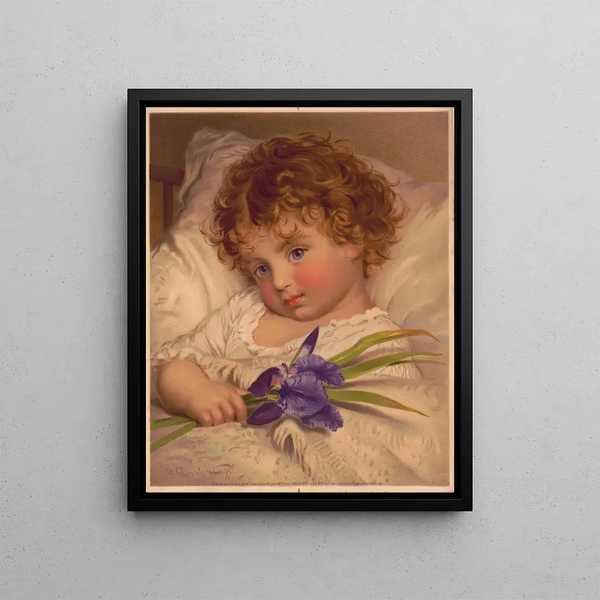 Les idoles de notre maison, les primevères bavardes - Louis Prang — framed artwork on a wall