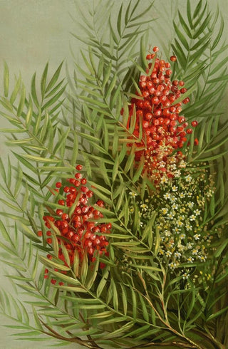 Sorbier des oiseleurs - Louis Prang — artwork view