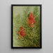 Sorbier des oiseleurs - Louis Prang — framed artwork on a wall