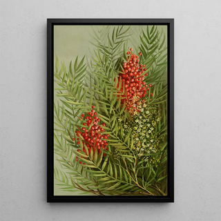 Sorbier des oiseleurs - Louis Prang — framed artwork on a wall