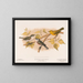 1 2 Chestnut-sided Warbler 1 Male 2 Female 3 Yellow Warbler - Louis Prang Co — framed artwork on a wall
