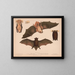 1 2 Red Bat Lasiurus noveboracensis 3 4 Small Brown Bat Vespertillo subulatus - Louis Prang Co — framed artwork on a wall