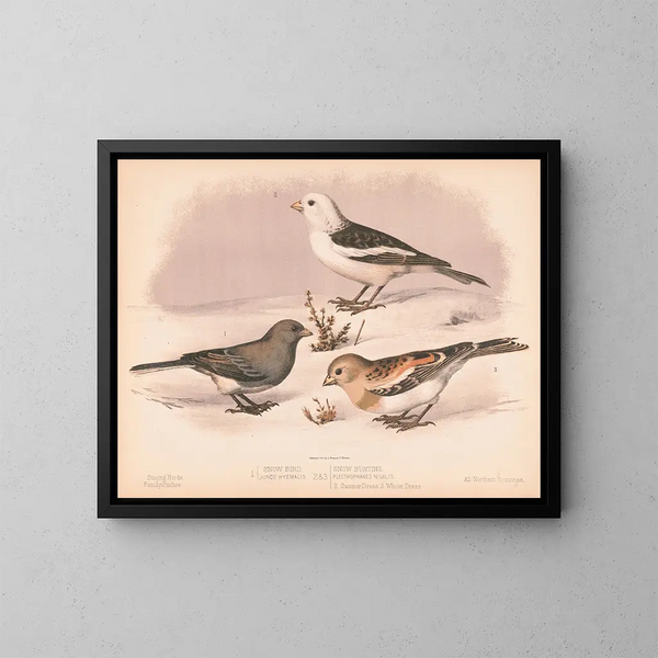 Snowy Bird - Louis Prang Co — framed artwork on a wall