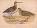 Bécassine painting by Wilson - Louis Prang Co — artwork view
