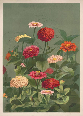 Flower Painting - Louis Prang Co — artwork view