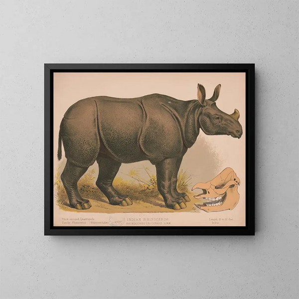 Indian Rhinoceros Painting - Louis Prang Co — framed artwork on a wall