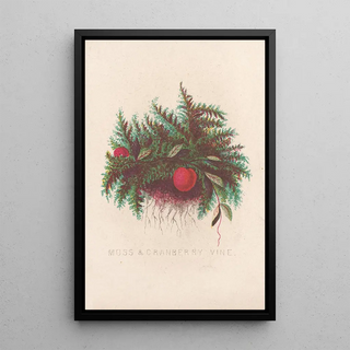 Cranberry Vine Mousse - Louis Prang Co — framed artwork on a wall
