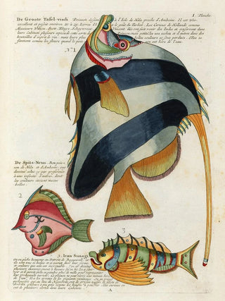 Louis Renard - Poissons ecrevisses et crabes de diverses couleurs et figures extraordinaires Pl044.webp