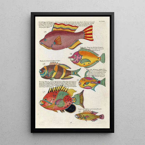 Fish, crawfish, and crabs of various colors and extraordinary figures Pl047 - Louis Renard — framed artwork on a wall
